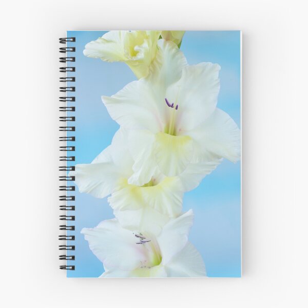 Item preview, Gladiolus  'White Prosperity'  Sword lily  designed and sold by Chris Burrows.