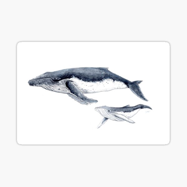 Item preview, Humpback whale designed and sold by chloeyzoard.