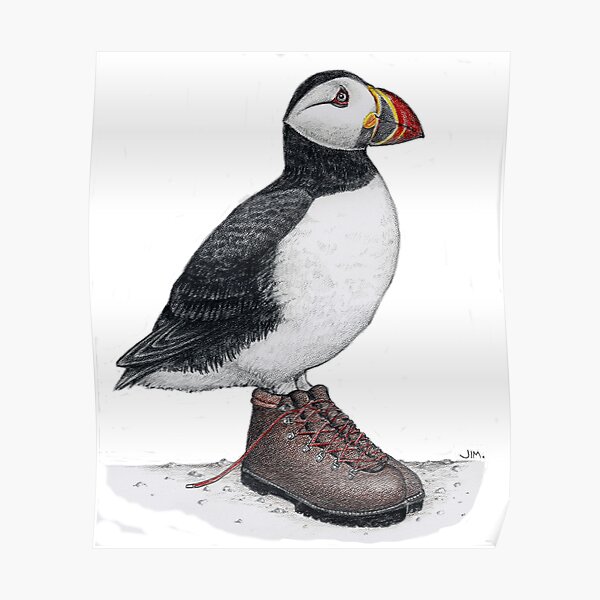 Puffin in hiking boots Poster