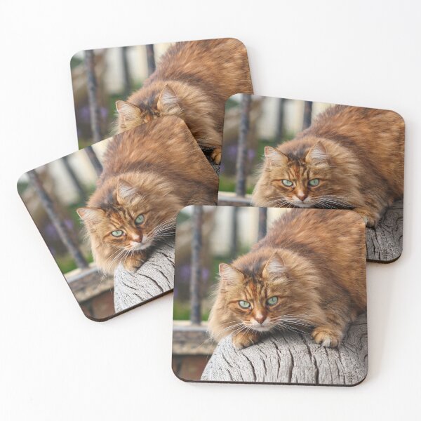 Item preview, Crouching cat designed and sold by GreyFeatherPhot.