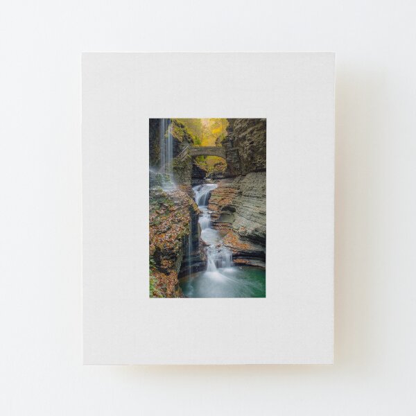 Rainbow Falls Wood Mounted Print