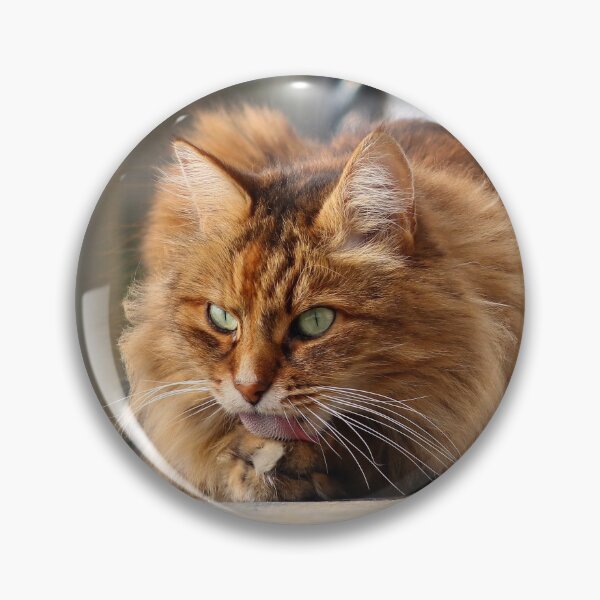 Item preview, Grooming cat designed and sold by GreyFeatherPhot.