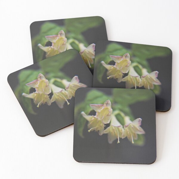 Item preview, Canada Fly Honeysuckle III designed and sold by Kathleen Daley.