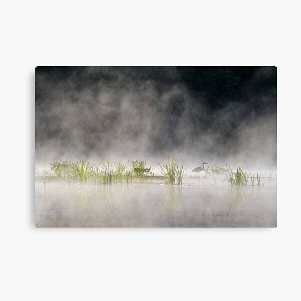 Heron in the Mist Canvas Print