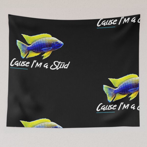 Item preview, Cause I'm A Stud designed and sold by KaveManAquatics.