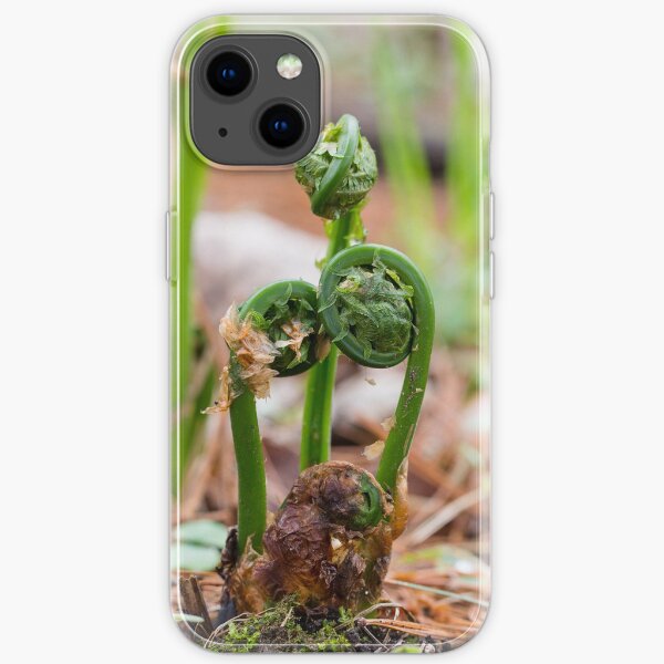 Fiddlehead Family iPhone Soft Case