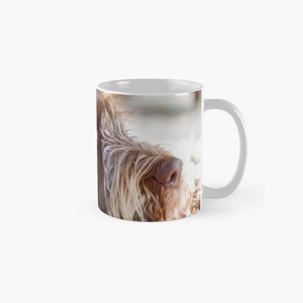 Looking up Spinone Classic Mug