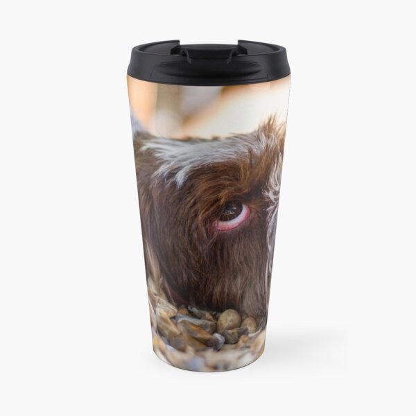 Looking up Spinone Travel Mug