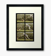 Subterranean Suburbia Framed Print