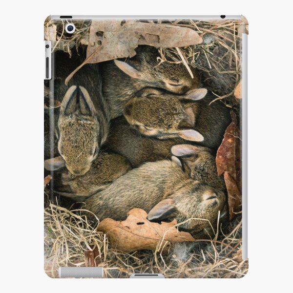 Bunny Nest iPad Snap Case