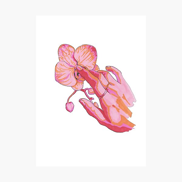 Orchid Touch Photographic Print