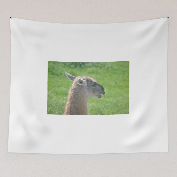 Item preview, White Llama designed and sold by Tamara McDonnell.