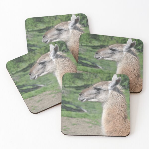Item preview, Beige llama designed and sold by Tamara McDonnell.