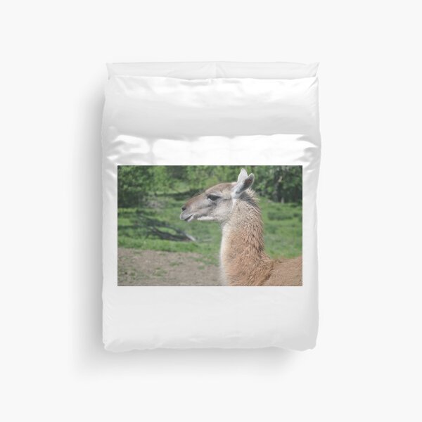 Item preview, Beige llama designed and sold by Tamara McDonnell.