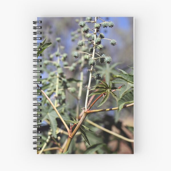 Item preview, Fruits and leaves of the Castor oil plant (Ricinus). designed and sold by Zosimus.