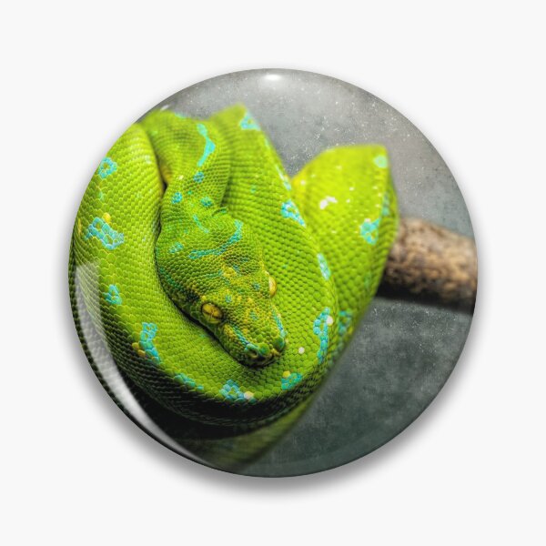 Item preview,  Green Snake designed and sold by Elisabeth Lucas.