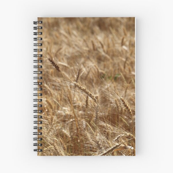 Item preview, Barley designed and sold by Zosimus.