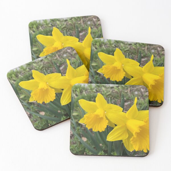 Item preview, naturaleza designed and sold by Phooph1.