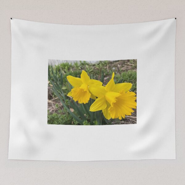 Item preview, My spring daffodils  designed and sold by Phooph1.