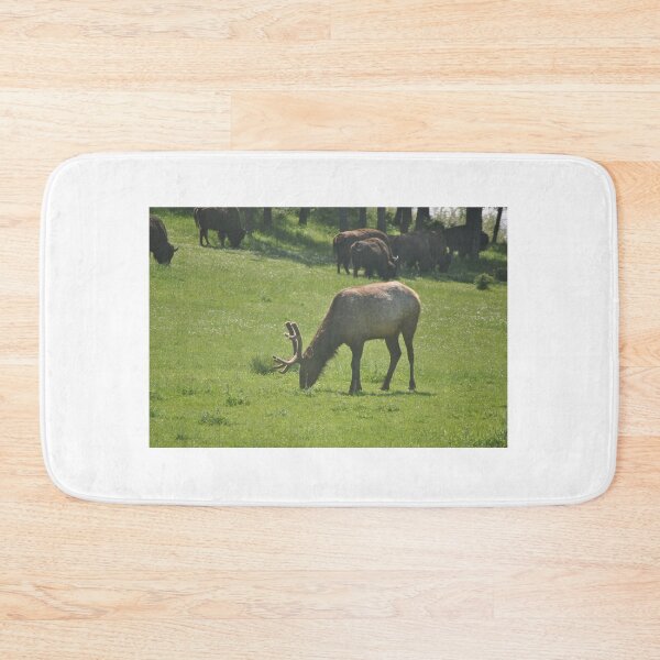 Item preview, American Elk with Bison designed and sold by Tamara McDonnell.