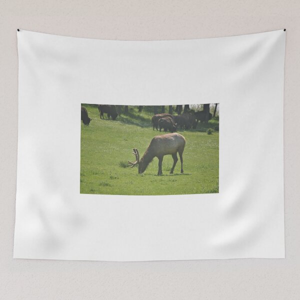 Item preview, American Elk with Bison designed and sold by Tamara McDonnell.