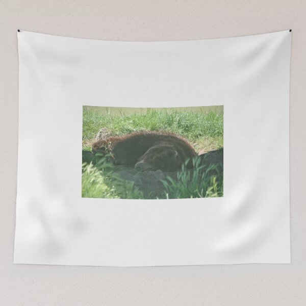 Item preview, Sleeping Brown Bear designed and sold by Tamara McDonnell.