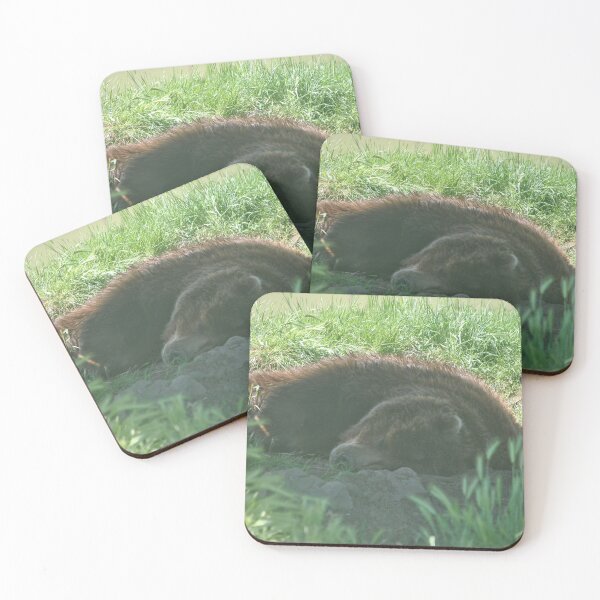 Item preview, Sleeping Brown Bear designed and sold by Tamara McDonnell.