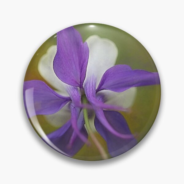 Item preview, Aquilegia designed and sold by clint hudson.