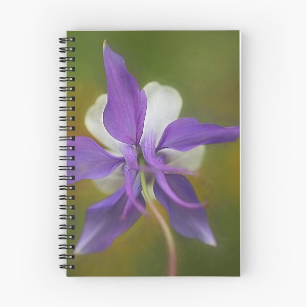 Item preview, Aquilegia designed and sold by clint hudson.