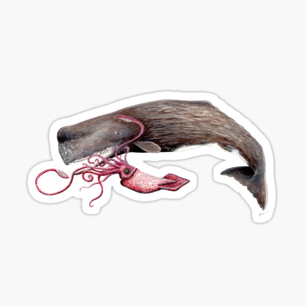 Item preview, Sperm whale and squid battle designed and sold by chloeyzoard.