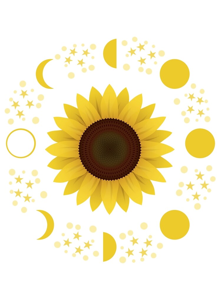 Moon Phases Sunflower Flower Astronomy