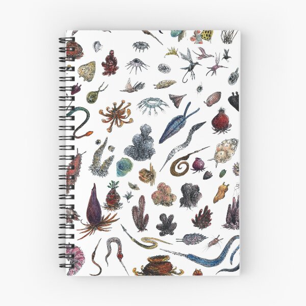 Item preview, Life is not Black and White designed and sold by Emily Holland.