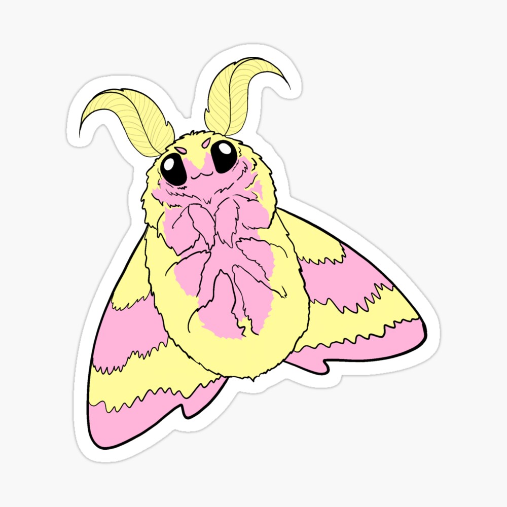 Moth Animal Aesthetic Stickers Colorful Cartoon Moth - Temu