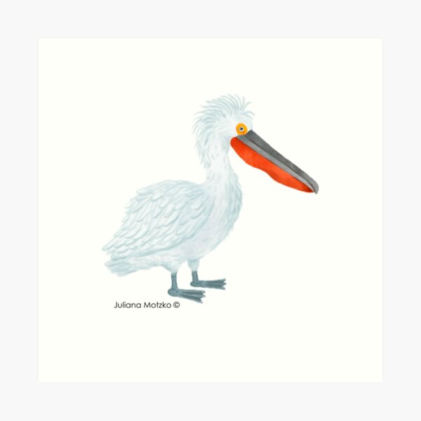 Dalmatian Pelican Art Print