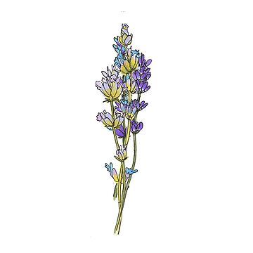 Artwork thumbnail, English Lavender Bundle by sofruity