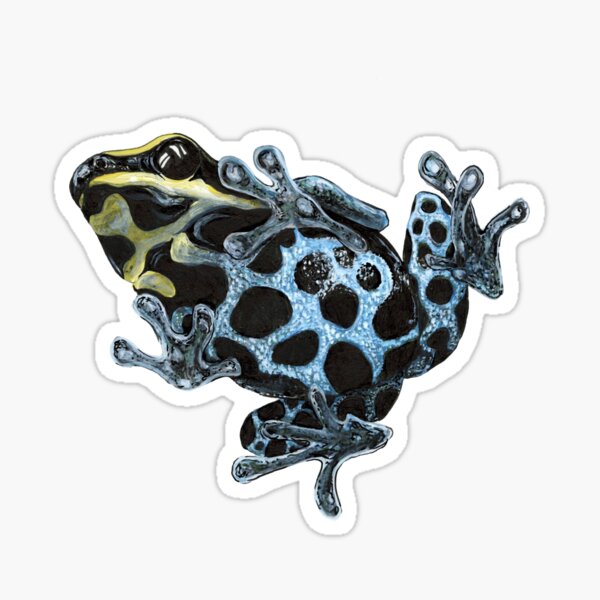 Item preview, Ranitomeya dart frog designed and sold by Emily Holland.