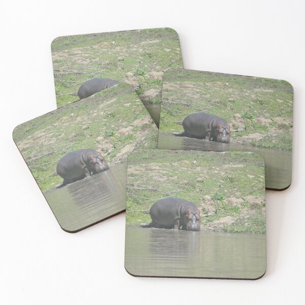 Item preview, Hippo out of Water designed and sold by Tamara McDonnell.