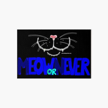 Meow or Never & Nosy Cat auf Schwarz 2 Galeriedruck