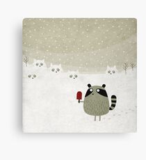 Raccoon Canvas Print