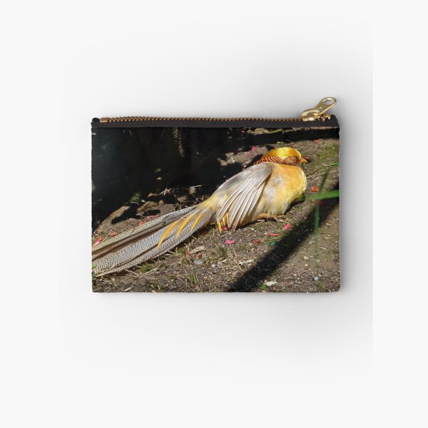 Item preview, Golden Pheasant at Abbotsbury , Dorset UK designed and sold by lynn carter.