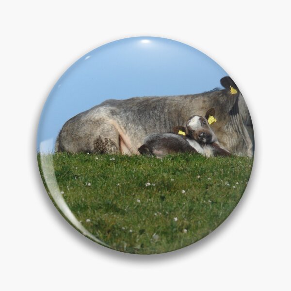 Item preview, Cow Family designed and sold by Autographix.