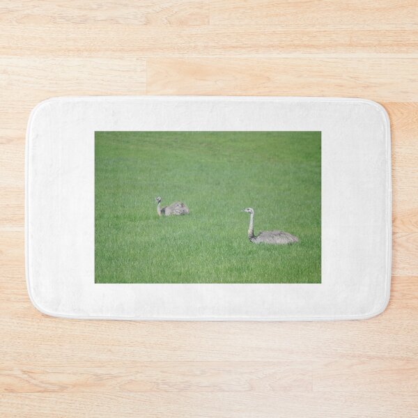 Item preview, Greater Rheas designed and sold by Tamara McDonnell.