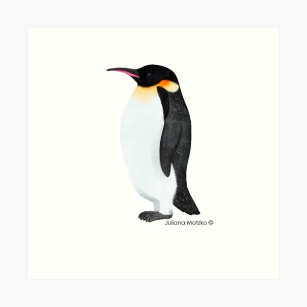 Emperor Penguin Art Print