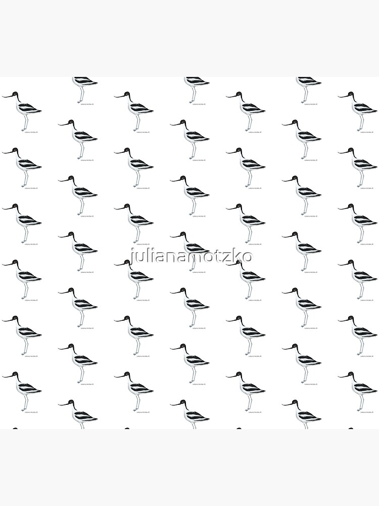 Avocet by julianamotzko