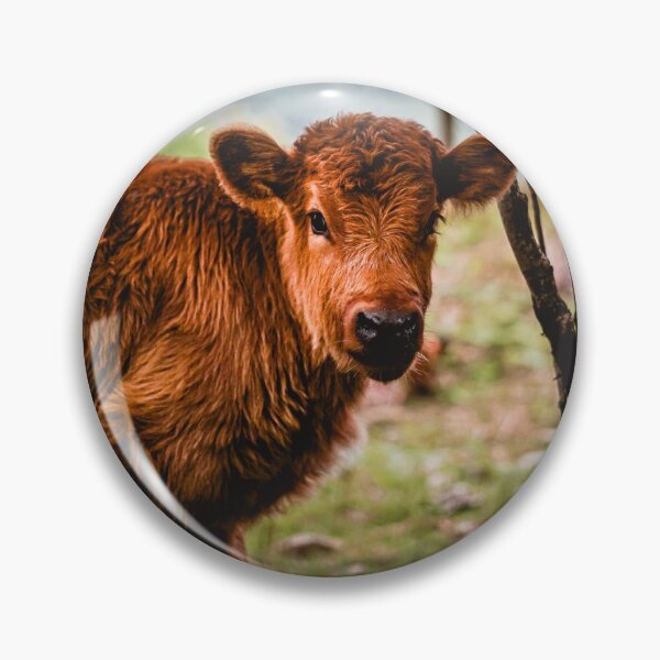 Item preview, Cute Calf designed and sold by Jay Mayne.