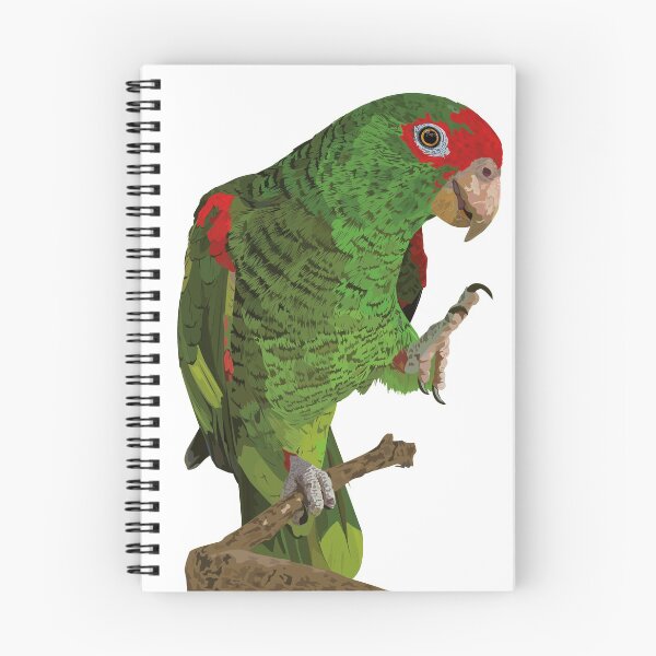 Item preview, Red-spectacled Amazon designed and sold by obscurite.