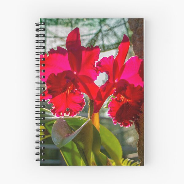 Item preview, Flamefruit designed and sold by jozikphoto.