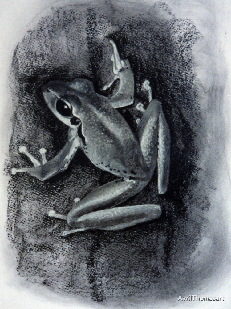 Thumbnail 3 of 3, Sticker, Tree Frog - Drawing by Avril Thomas South Australian Artist designed and sold by AvrilThomasart.