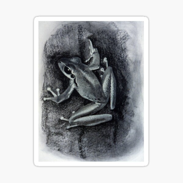 Item preview, Tree Frog - Drawing by Avril Thomas South Australian Artist designed and sold by AvrilThomasart.