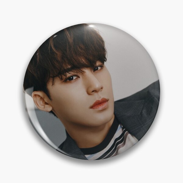 Seventeen Mingyu - An Ode (Truth) Pin